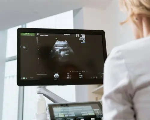 O que fazer quando o pet engole algo perigoso, clínica veterinária 24h