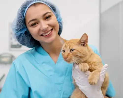 Pets que surpreenderam e se recuperaram mais rápido que o previsto, clínica veterinária 24h