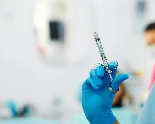 Limpeza dentária com anestesia: quando é indispensável, clínica veterinária 24h