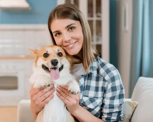 Cuidados com pets em apartamentos de Maringá, clínica veterinária 24h