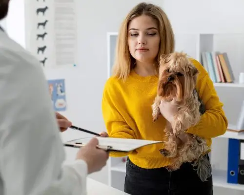 Quanto custa um atendimento com veterinário 24h? clínica veterinária 24h