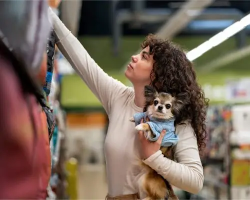 Quando é hora de trocar a ração do cachorro? clínica veterinária 24h