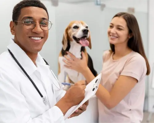 Diferença entre consulta de rotina e consulta de urgência, clínica veterinária 24h