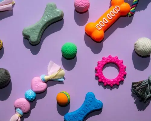 O que fazer quando o pet engole brinquedos? clínica veterinária 24h