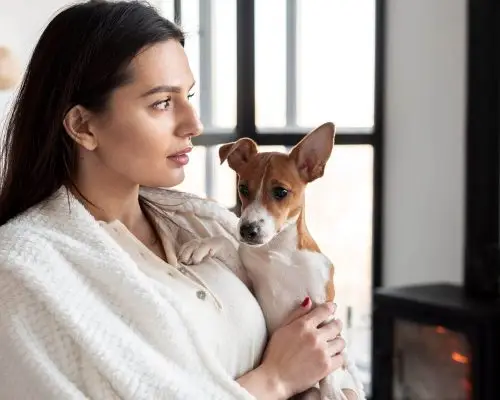 Clínica veterinária perto de mim: vale a pena escolher pela localização? clínica veterinária 24h