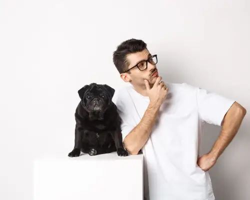 Diferença entre clínica veterinária e hospital veterinário, clínica veterinária 24h