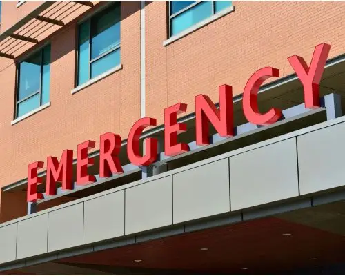 O que significa atendimento emergencial 24h para pets? clínica veterinária 24h